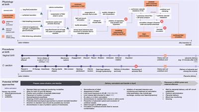 Transferring an extremely premature infant to an extra-uterine life support system: a prospective view on the obstetric procedure